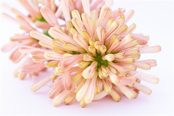 充满能量的文案