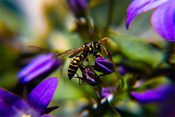 写老师的语段24句