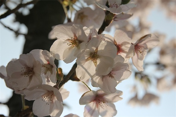 关于不存的文案