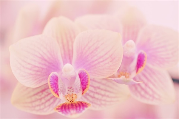 单身一个人挺好的句子 2025年关于单身很好的句子