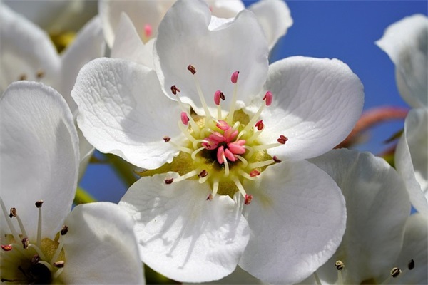 所有的努力都有回报句子