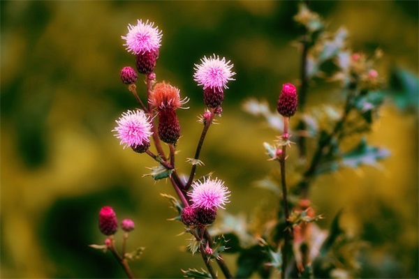 2025年跟男生表白的话感人的