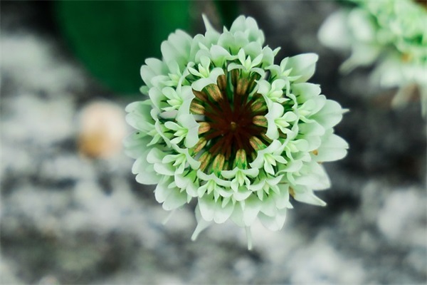 简单乐观心态文案