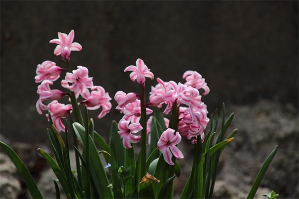 九月最赞的一句话