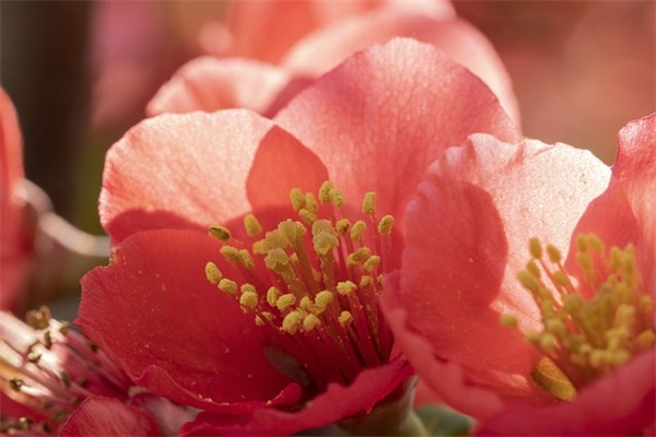 午安问候幽默语发给客户