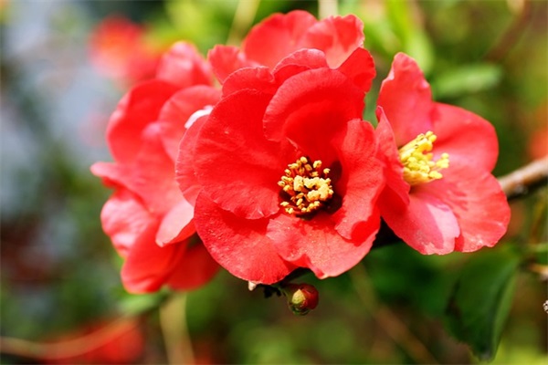 早安心语励志的语句