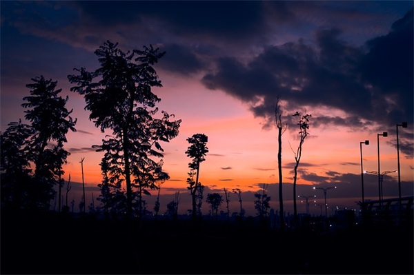 看完能打开心结的一段话