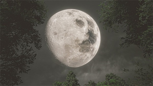 七夕送女友什么祝福