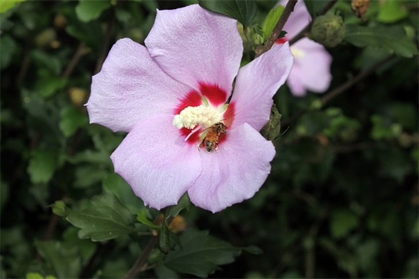 让人心里暖暖的文案