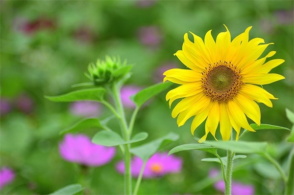 充满逗比气息的个性文案