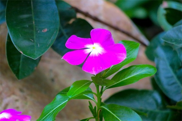 深入人心的人生哲理文案