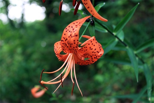 关于百无禁忌的文案