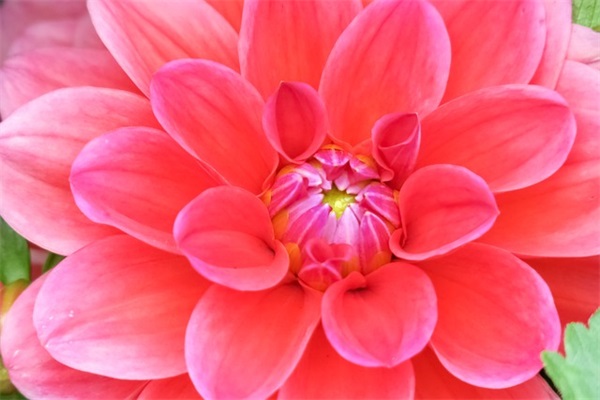 宝宝双满月祝福语77句