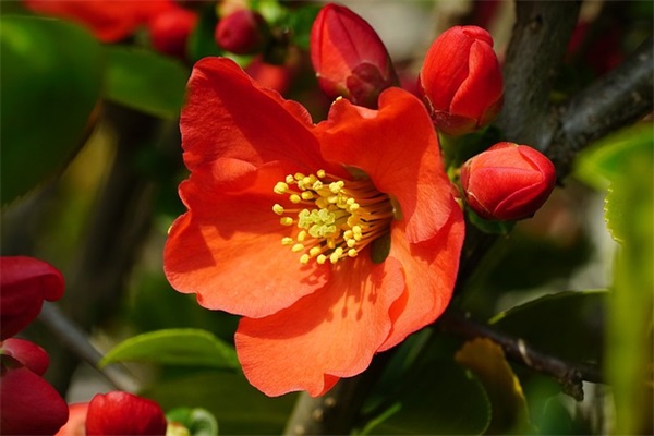 爱人生日祝福语英文