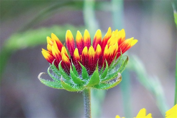 立秋简短唯美的朋友圈祝福语2025年