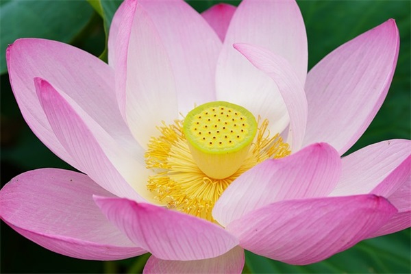 女同桌结婚祝福语82句