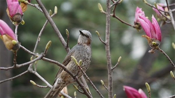 毕业送老师祝福语66句