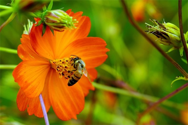 教师节祝福语文案 教师节祝福语简单暖心