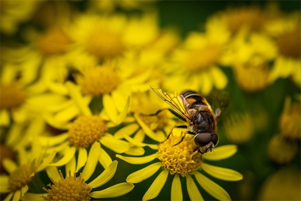 有性生日祝福语52句