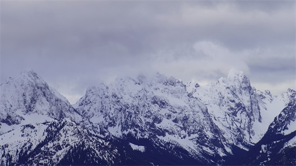 欢庆2025五一劳动节微信祝福语(五一劳动节祝福语)