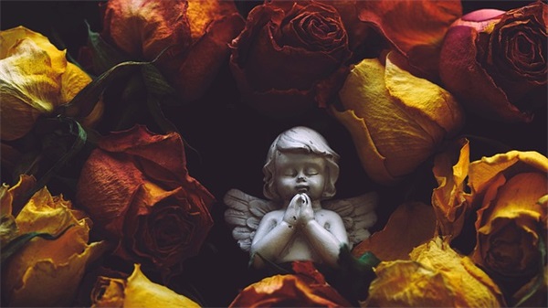 春节酒桌上新年祝福语