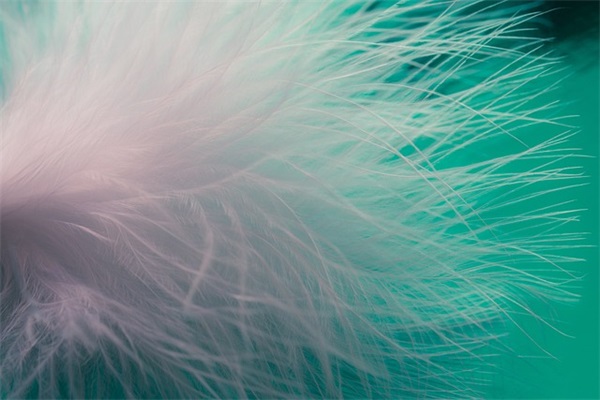 端午节微信祝福语大全47句