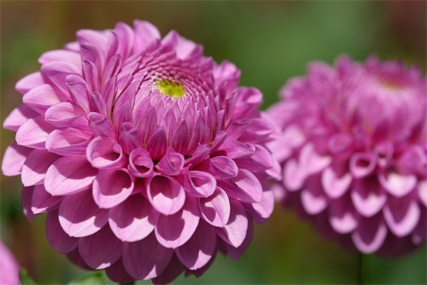 给初三的祝福语60句