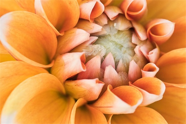 2025年对爱人的祝福语48句