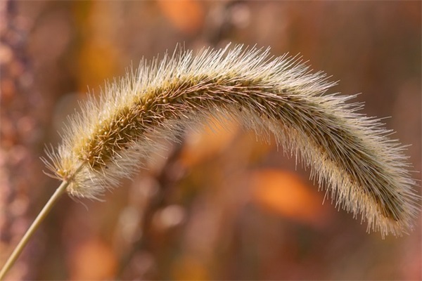 身体健康新年祝福语47句