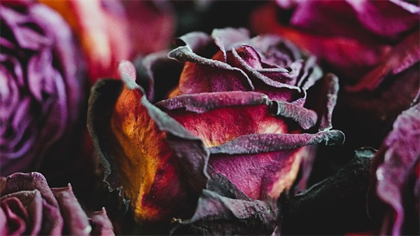 经典的中秋节祝福语 经典中秋节祝福语