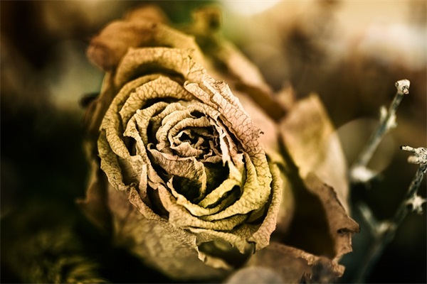 结婚一年纸婚祝福语 一年纸婚纪念日祝福语大全