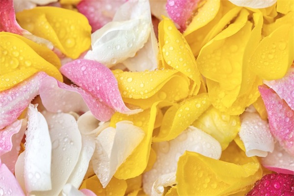 毕业的祝福语一句话51句