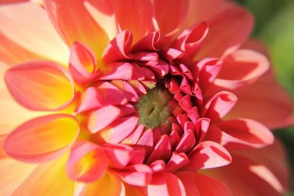 教师节简短祝福语短信2025年