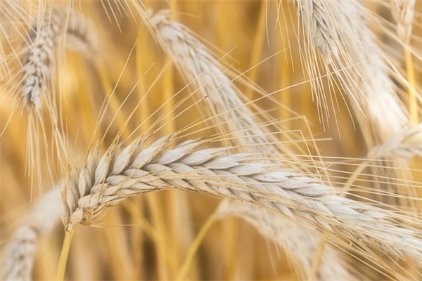 新年送男友的祝福语58句