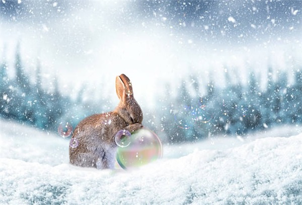 姐姐的新婚祝福语