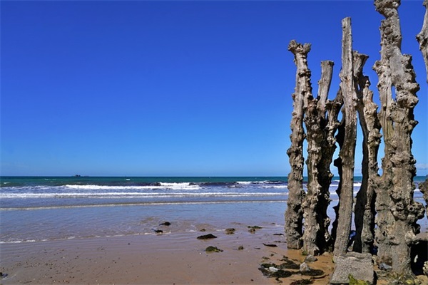 五一劳动节新颖祝福语文案