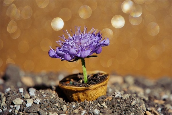 人生感悟句子集合