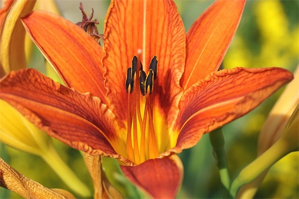 简洁的励志句子