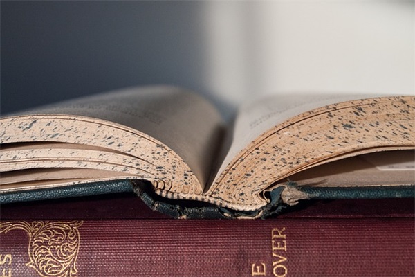 关于冬至的优美句子