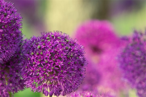 释怀的句子大全