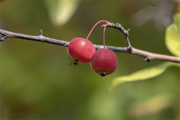 人生磨难与坎坷的句子