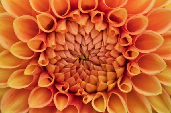 生活领悟句子100句