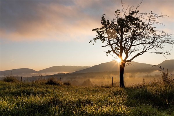 腊八节的句子文案