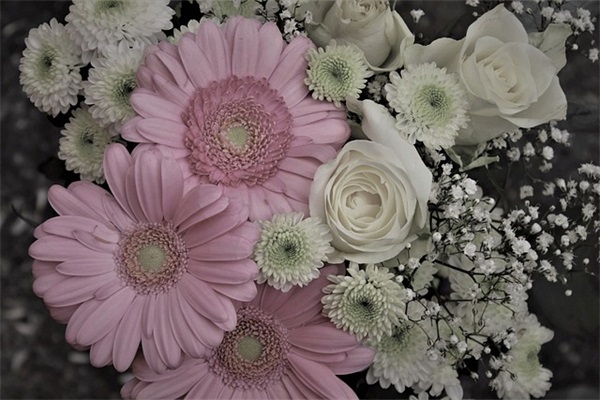 关于理想的优美句子