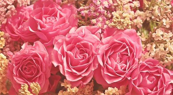 父亲节赞美父亲的句子