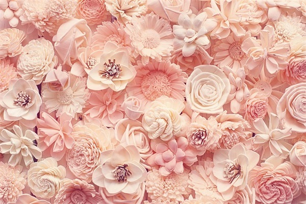 搞笑减肥的句子