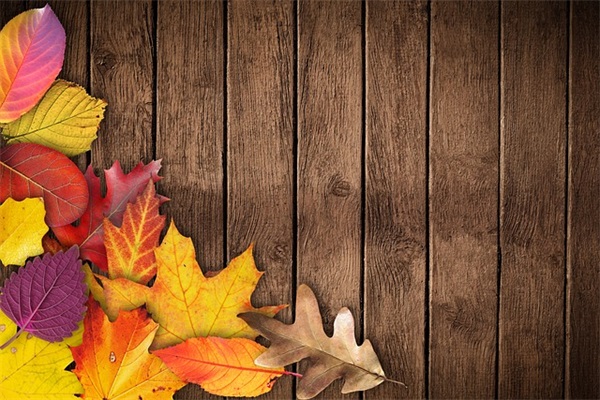 未来可期励志句子