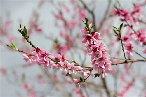 形容善良的古文