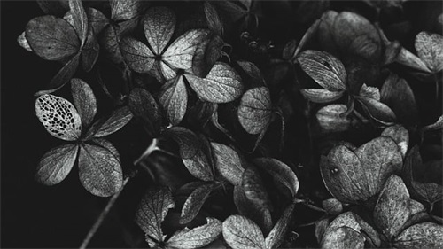 古文中形容有缘