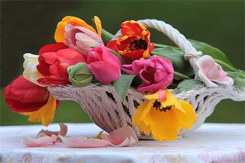 诚信的句子99句